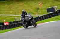Lower Group Black Bikes